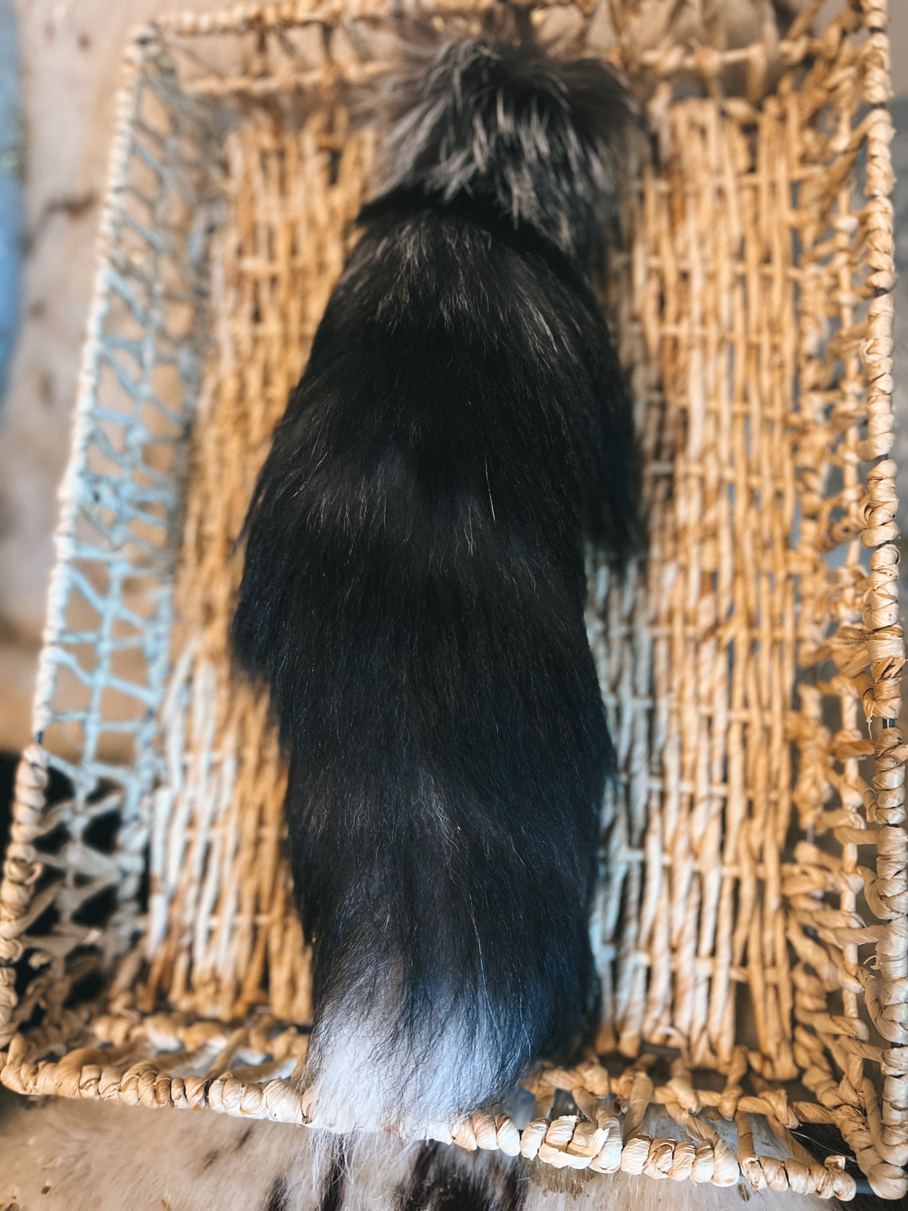 Silver Fox Tail Purse Hanger